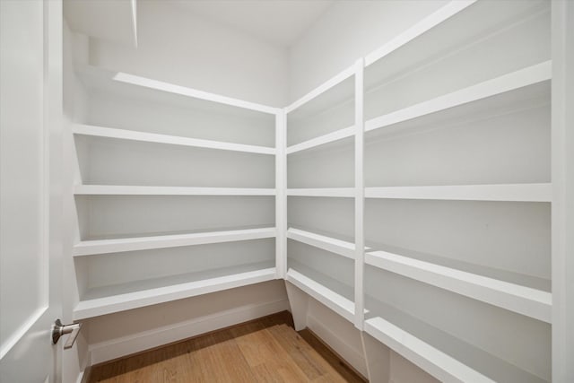 403 Venado View Ct, Conroe, TX 77304 - view of pantry