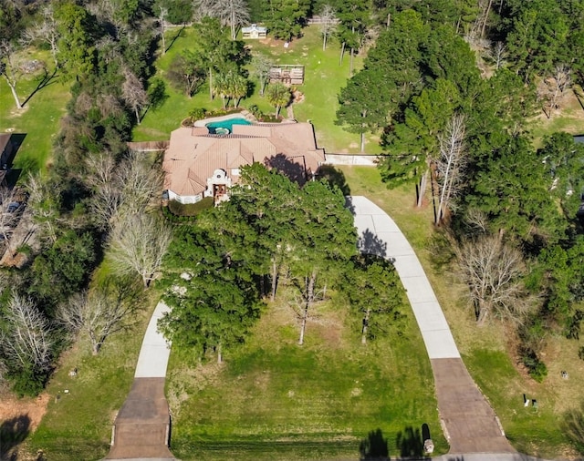 26122 Crown Ranch Blvd, Montgomery, TX 77316 - aerial view of a pool