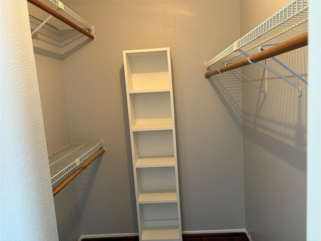 2822 S Bartell Dr Unit 22, Houston, TX 77054 - view of spacious closet