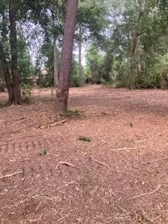 8819 Dowdell Rd, Tomball, TX 77375 - photo 15
