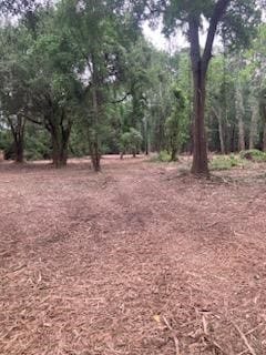 8819 Dowdell Rd, Tomball, TX 77375 - photo 16
