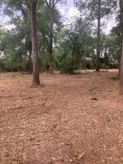8819 Dowdell Rd, Tomball, TX 77375 - photo 18