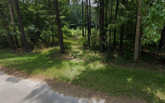 374 Wild Oak Dr, Huffman, TX 77336 - photo 3