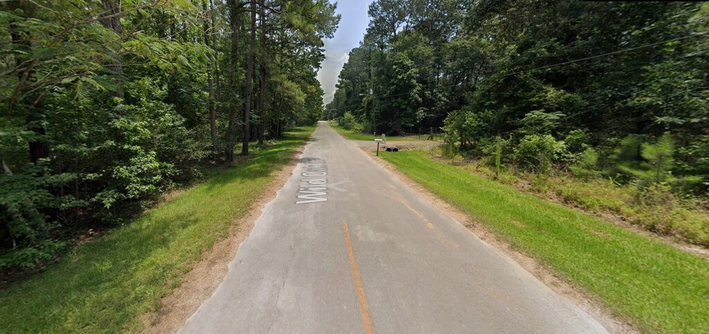 374 Wild Oak Dr, Huffman, TX 77336 - photo 2