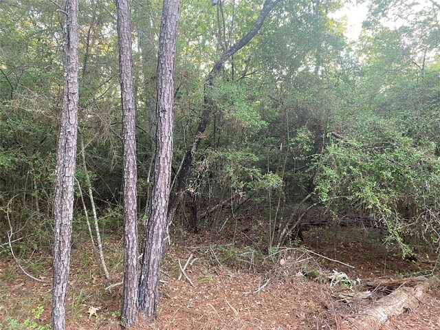 TBD Peach Dr, Huntsville, TX 77320