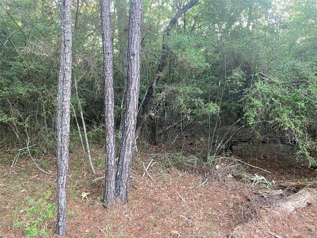 TBD Peach Dr, Huntsville, TX 77320