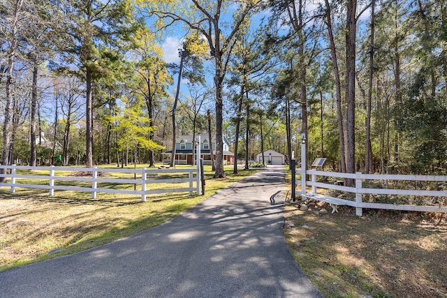 9219 Sendera Dr, Magnolia, TX 77354 - view of asphalt driveway