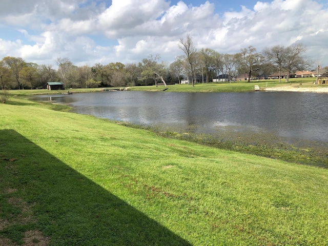 320 Eagle Cv, Hempstead, TX 77445 - water view