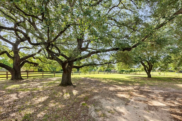 13415 Bayonne Cir, Tomball, TX 77377 - view of yard