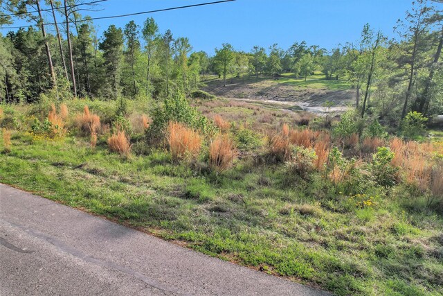 8 Lake Shore Ln, Riverside, TX 77320 - photo 5