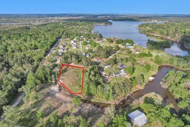8 Lake Shore Ln, Riverside, TX 77320 - photo 15
