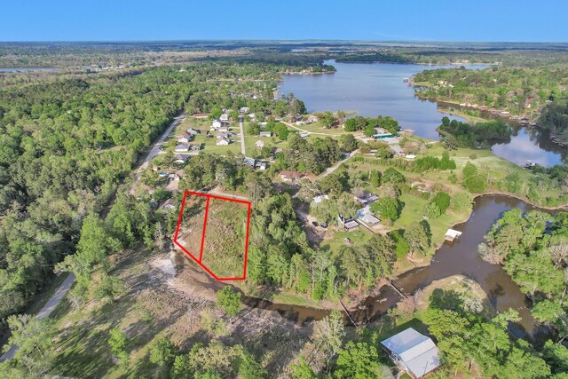 8 Lake Shore Ln, Riverside, TX 77320 - photo 16