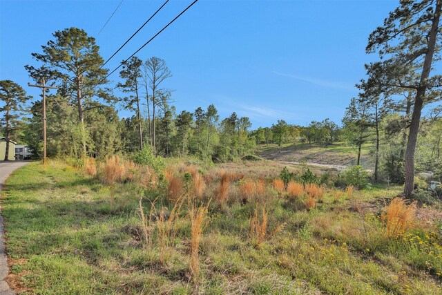 8 Lake Shore Ln, Riverside, TX 77320 - photo 3