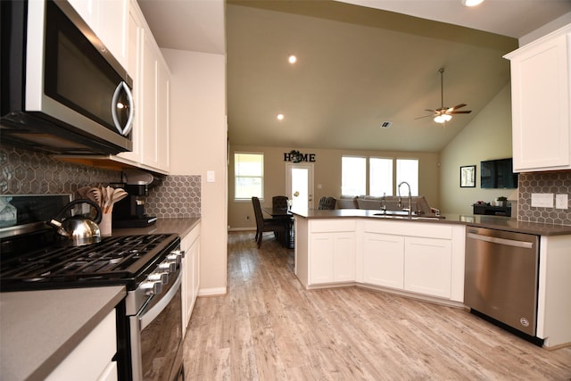 kitchen with stainless steel appliances, open floor plan, a sink, a peninsula, and plenty of natural light