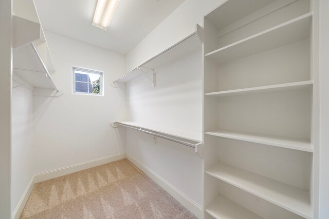2909 Pease St, Houston, TX 77003 - walk in closet with light carpet