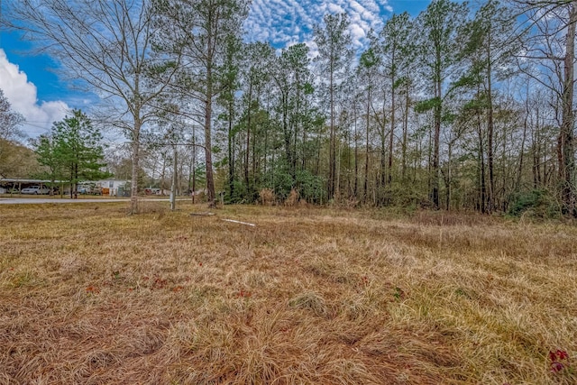 11232 Creek Dr, Cleveland, TX 77328