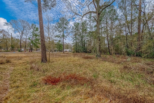 11232 Creek Dr, Cleveland, TX 77328