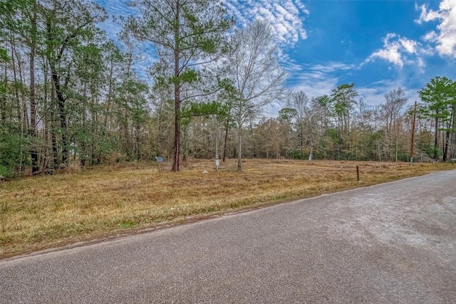 11232 Creek Dr, Cleveland, TX 77328