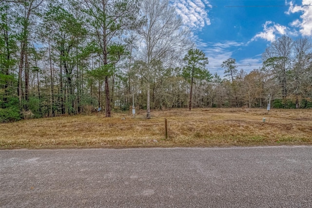 11232 Creek Dr, Cleveland, TX 77328