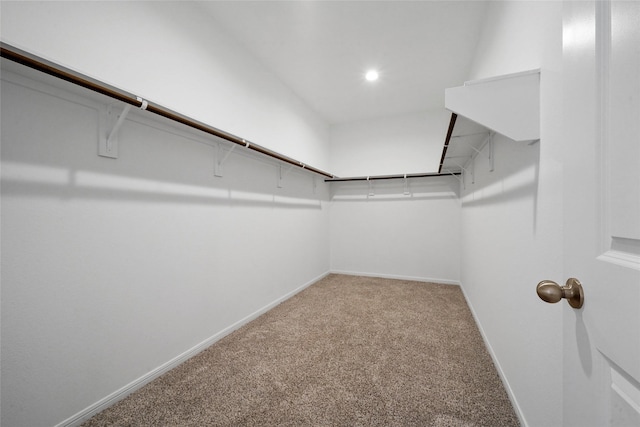 177 Jim Hall Ln, New Waverly, TX 77358 - walk in closet featuring carpet