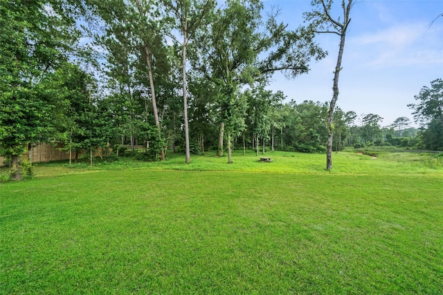 177 Jim Hall Ln, New Waverly, TX 77358 - view of green lawn