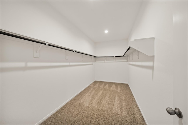 177 Jim Hall Ln, New Waverly, TX 77358 - spacious closet with light colored carpet
