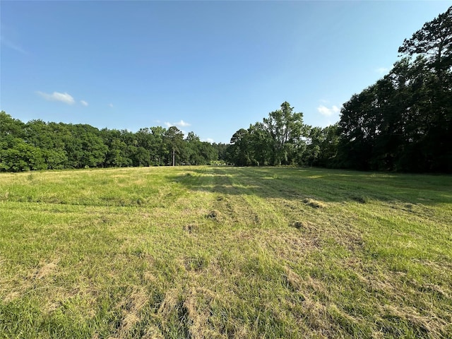 220 E Dalton, Coldspring, TX 77331 - photo 1