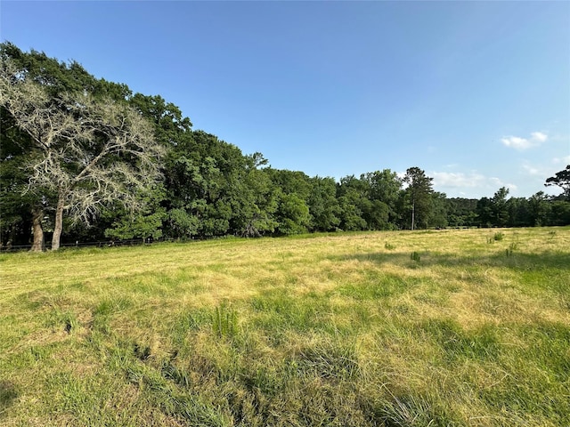 220 E Dalton, Coldspring, TX 77331 - photo 2