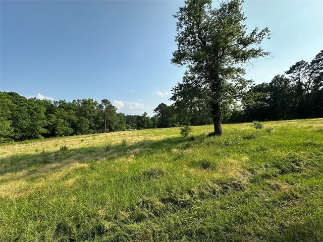 220 E Dalton, Coldspring, TX 77331 - photo 4