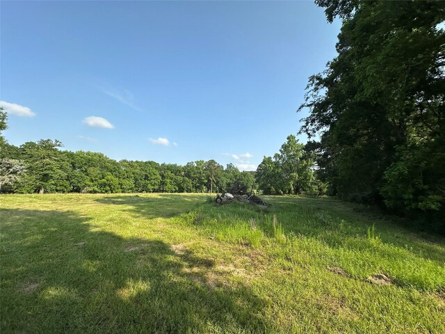 220 E Dalton, Coldspring, TX 77331 - photo 5
