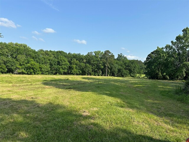 220 E Dalton, Coldspring, TX 77331 - photo 7