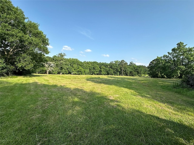 220 E Dalton, Coldspring, TX 77331 - photo 8