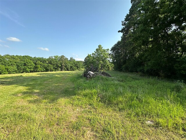 220 E Dalton, Coldspring, TX 77331 - photo 9