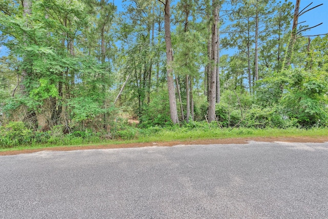 0 Oak Hill Dr, Huntsville, TX 77320 - photo 4