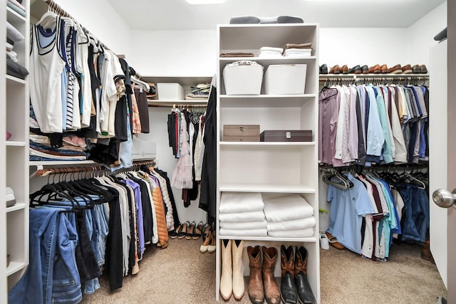 14011 Blazey Dr, Houston, TX 77095 - walk in closet with carpet