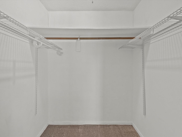 11731 Flushing Meadows Dr, Houston, TX 77089 - spacious closet featuring carpet flooring