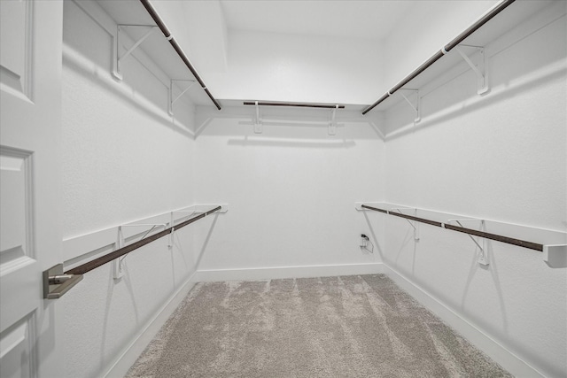 10022 Waving Grain Ln, Houston, TX 77080 - walk in closet with carpet floors