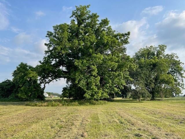 178 Horse Shoe Trl, Angleton, TX 77515 - photo 5
