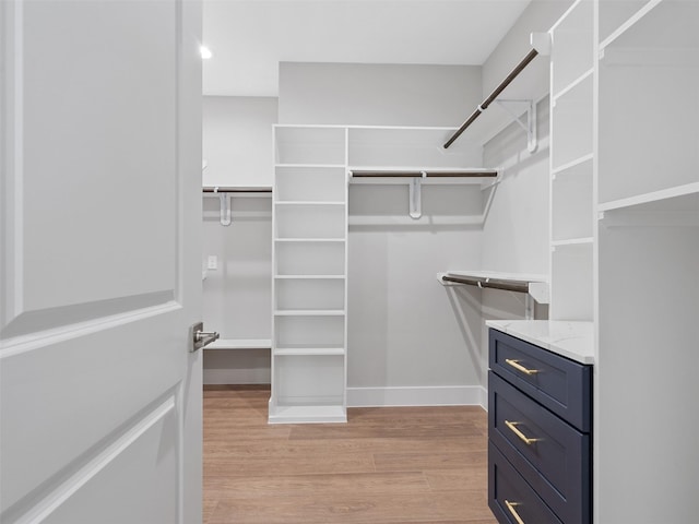825 Paul Quinn St Unit E, Houston, TX 77091 - spacious closet with light wood-style floors
