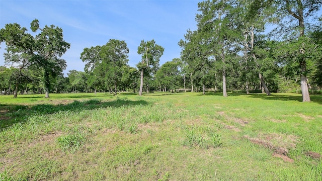 15610 Tierra Grande Dr, Needville, TX 77461