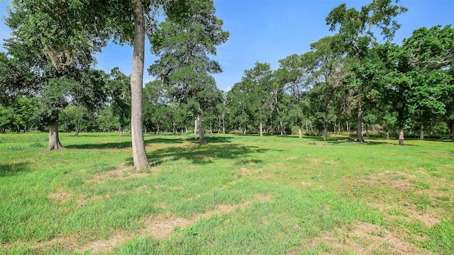 15610 Tierra Grande Dr, Needville, TX 77461