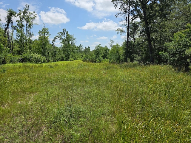 0 Broadway Ave, Conroe, TX 77385 - photo 5