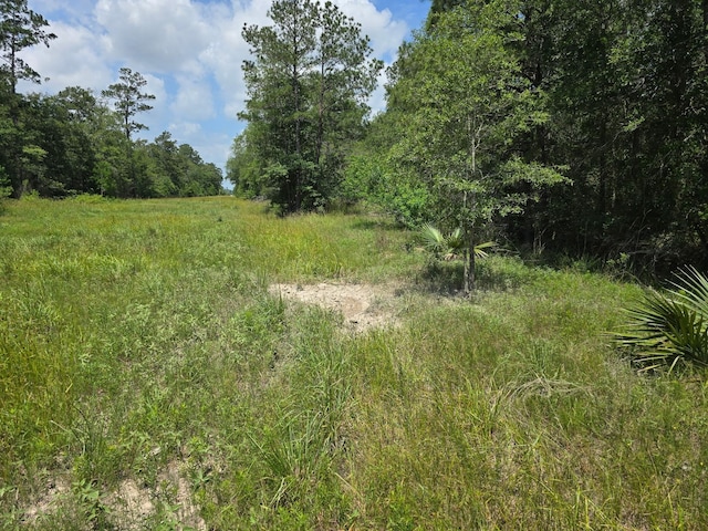 0 Broadway Ave, Conroe, TX 77385 - photo 8