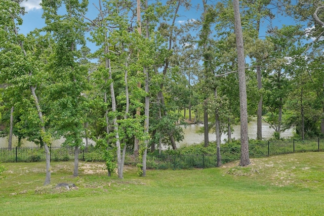 13710 Nubenbrook Lake Dr, Houston, TX 77044 - view of yard