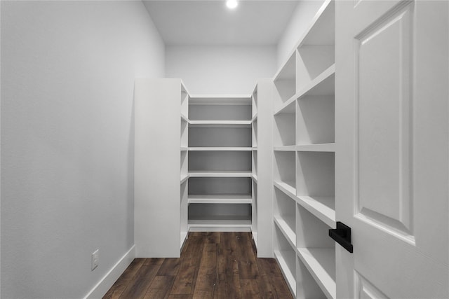 23826 Cow Oak Dr, Spring, TX 77389 - view of pantry