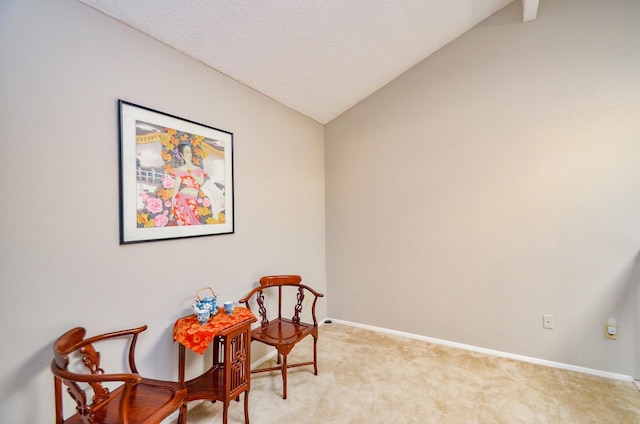 6211 Ludington Dr Unit 21-909, Houston, TX 77035 - sitting room featuring light colored carpet, lofted ceiling, and baseboards