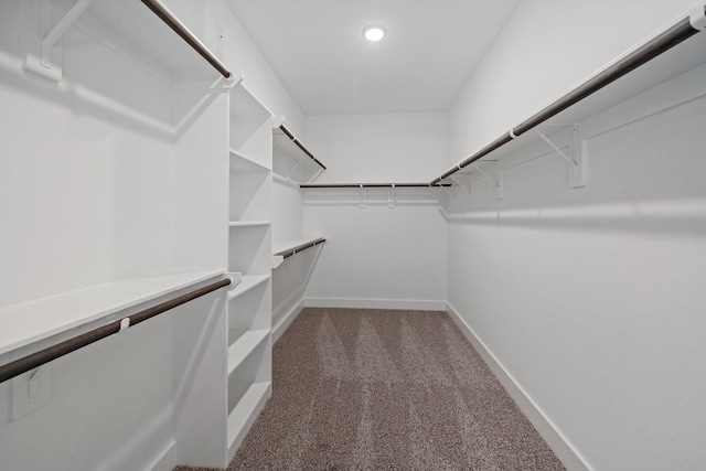 15230 Prairie Mill Dr, New Caney, TX 77357 - spacious closet with carpet floors