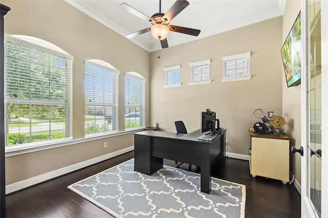 27710 Bering Crossing Dr, Katy, TX 77494 - home office featuring crown molding, baseboards, a ceiling fan, and wood finished floors