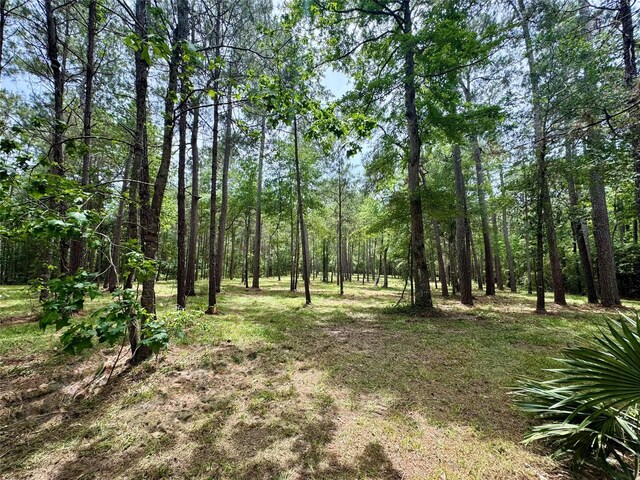 13A-1-1 Texas Grand Rd, Huntsville, TX 77340