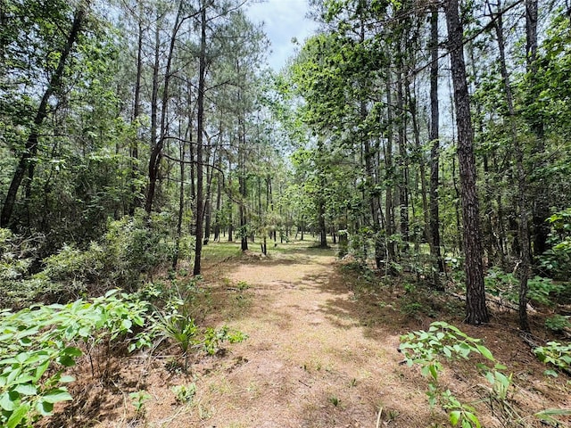 13A-1-1 Texas Grand Rd, Huntsville, TX 77340